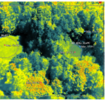 Biotop Thermal Messdaten
